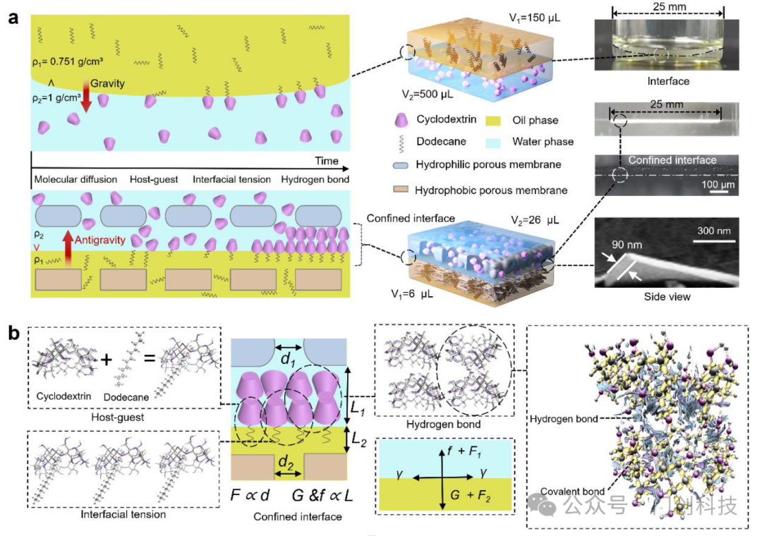 Schematic of antigravity confined interfacial self-assembly